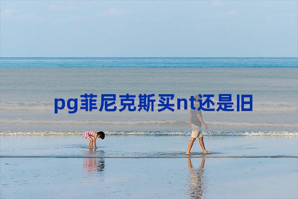 大班pg菲尼克斯评测(大班和万代pg菲尼克斯对比)-第1张-职场百科-大苏人才网