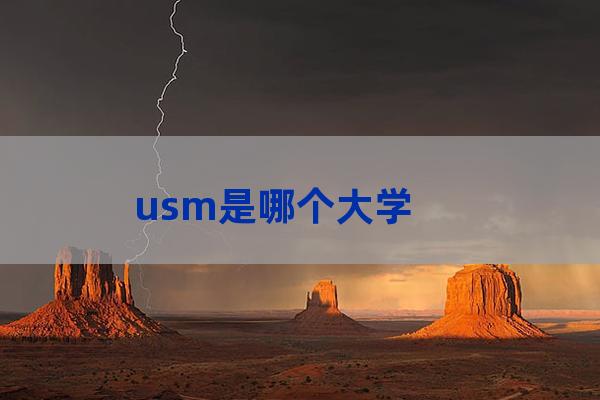 usm大学(usm大学qs)