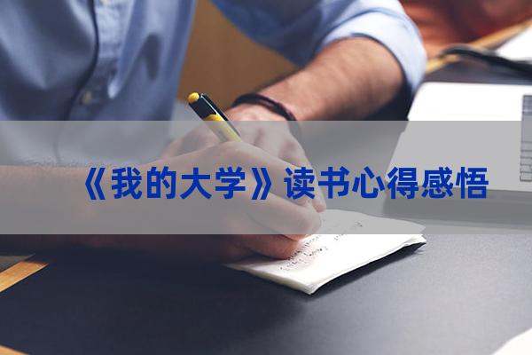 我的大学心得(我的大学心得体会300字)