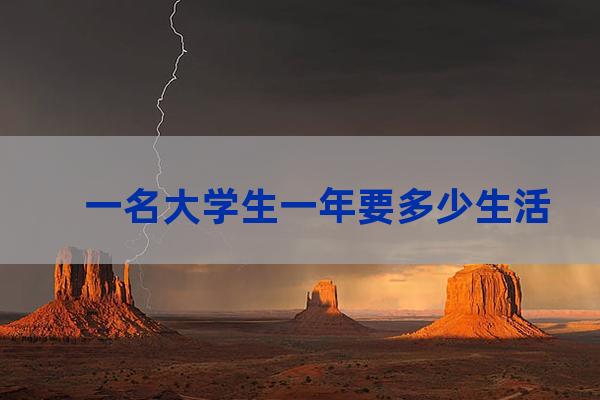 大学生生活费开支表图(大学生生活费开支调查问卷)-第1张-职场百科-大苏人才网