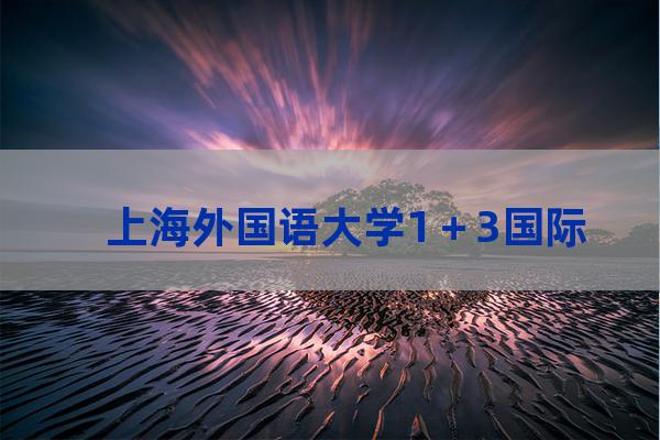 上海外国语大学3十1(上海外国语大学3十l)-第1张-职场百科-大苏人才网