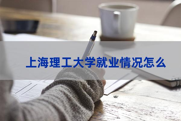 上海理工大学就业网