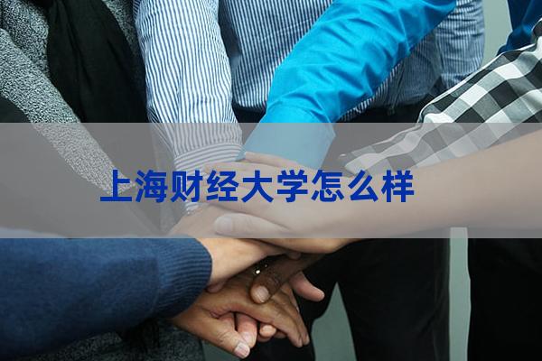 上海财经大学宣传片(上海财经大学金融学院)-第1张-职场百科-大苏人才网