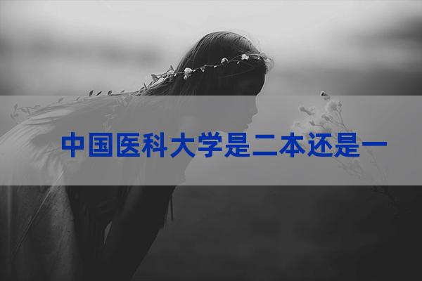 中国医科大学是一本吗(中国医科大学前十名)-第1张-职场百科-大苏人才网