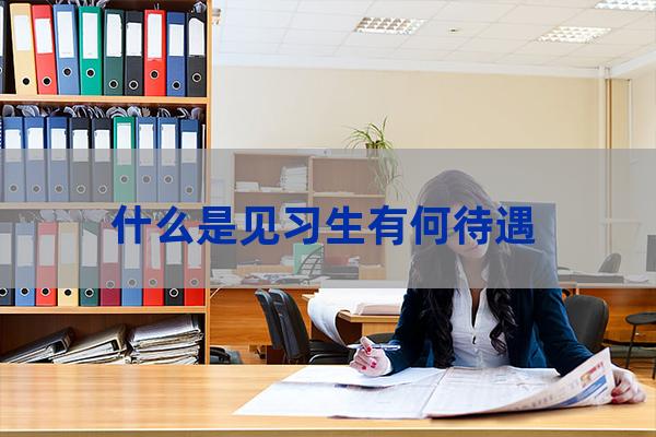 毕业生见习(大学生实习)