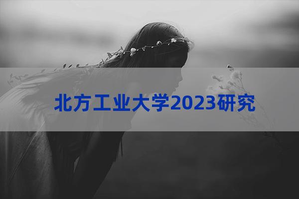 北方工业大学研究生院官网(北方工业大学文法学院研究生院)