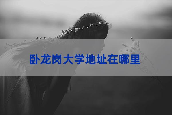 澳大利亚卧龙岗大学(澳大利亚卧龙岗大学毕业证校长)