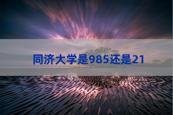 同济大学是985吗-第1张-职场百科-大苏人才网