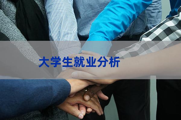 大学生就业能力分析(大学生就业数据统计与分析)-第1张-职场百科-大苏人才网