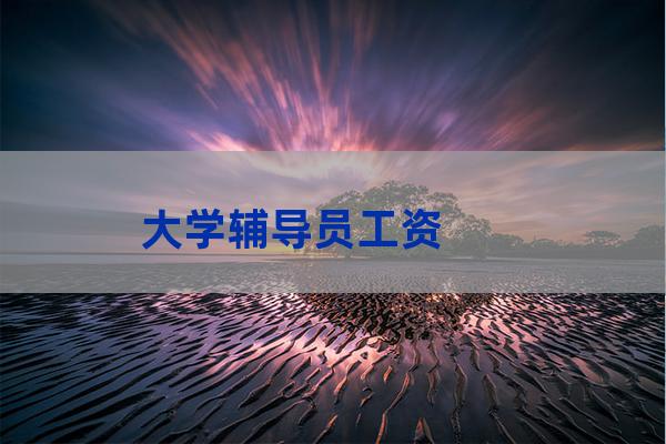 大学辅导员待遇(中国民航大学辅导员待遇)-第1张-职场百科-大苏人才网