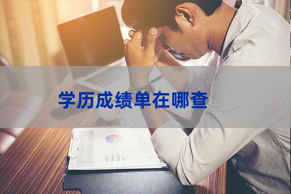 大学生成绩查询系统(大学生成绩查询系统c语言)-第1张-职场百科-大苏人才网