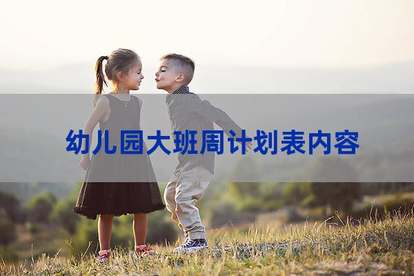 幼儿园大班活动计划表(幼儿园大班识字大全)-第1张-职场百科-大苏人才网