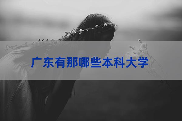 广东省本科(广东省本科院校名单)