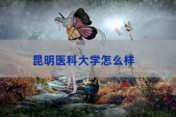 昆明医科大学宿舍图片(昆明医科大学研究生宿舍)-第1张-职场百科-大苏人才网