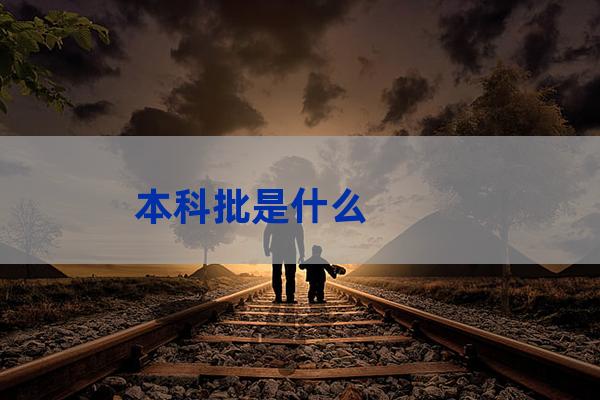 本科批什么意思(地方计划本科批什么意思)