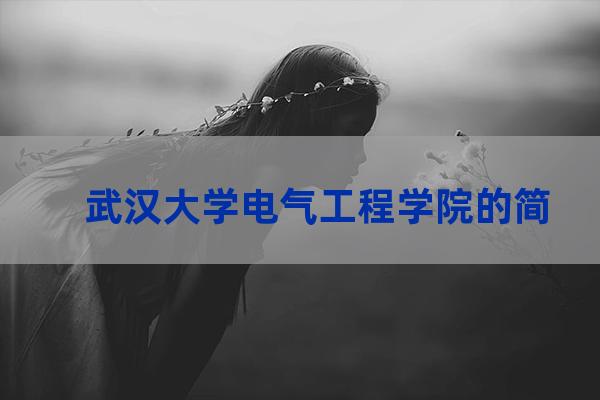 武汉大学电气工程学院官网(武汉大学电气工程学院地址)