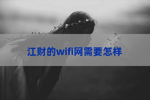 江西财经大学无线网络(江西财经大学无线网络连接)-第1张-职场百科-大苏人才网