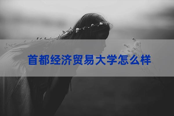 首都经济贸易大学怎么样(首都经济贸易大学怎么样?大学排名)-第1张-职场百科-大苏人才网